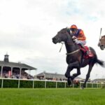 Each Way on the list over the best horse racing tipsters in 2020.